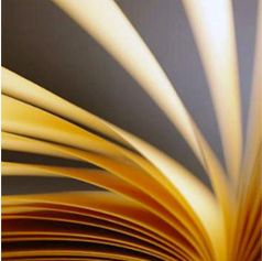 Imagen de Ordenanzas y Reglamentos